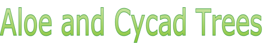 Aloe and Cycad Trees