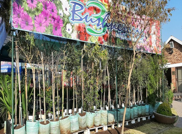 tree bags
