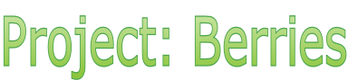 Project: Berries